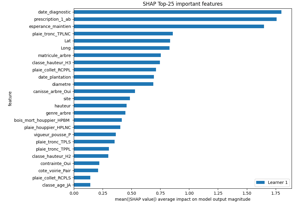 SHAP Importance